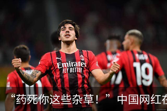 “药死你这些杂草！”中国网红在富士山脚狂喷不明液体，被抓包后说：这只是纯净水！