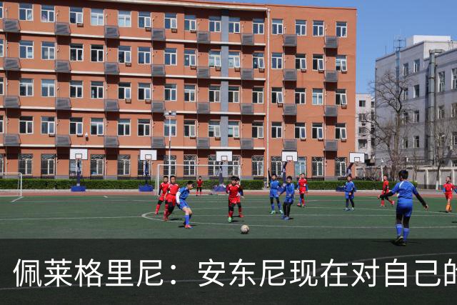 佩莱格里尼：安东尼现在对自己的要求已很高了，甚至有些过头
