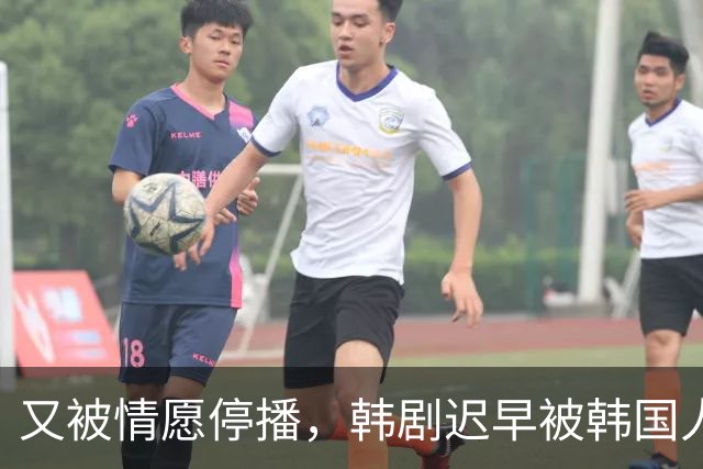 又被情愿停播，韩剧迟早被韩国人玩完！