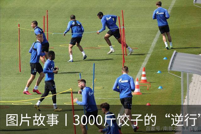 图片故事丨3000斤饺子的“逆行”
