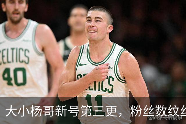 大小杨哥新号第三更，粉丝数纹丝不动