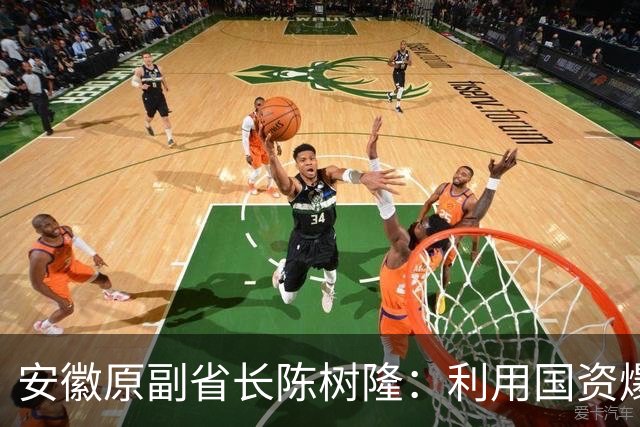 安徽原副省长陈树隆：利用国资爆赚、花天酒地、声色犬马，生了一窝私生子
