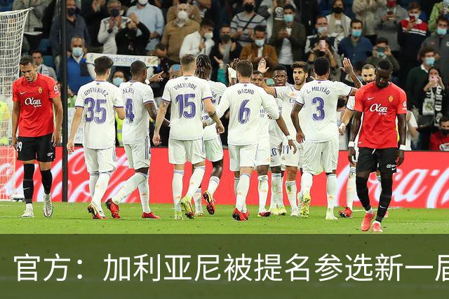 官方：加利亚尼被提名参选新一届意大利足协主席