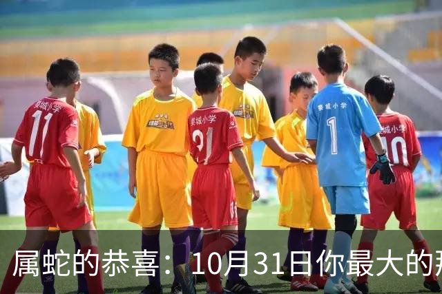 属蛇的恭喜：10月31日你最大的那位贵人，要现身了！