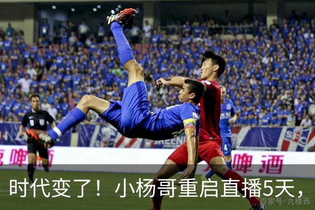 时代变了！小杨哥重启直播5天，热度遇冷，再也回不到巅峰