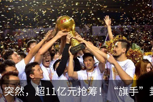突然，超11亿元抢筹！“旗手”封死涨停，发生了什么？