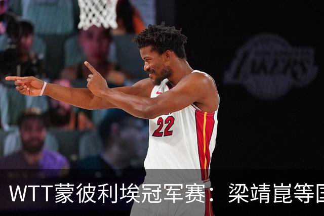 WTT蒙彼利埃冠军赛：梁靖崑等国手晋级